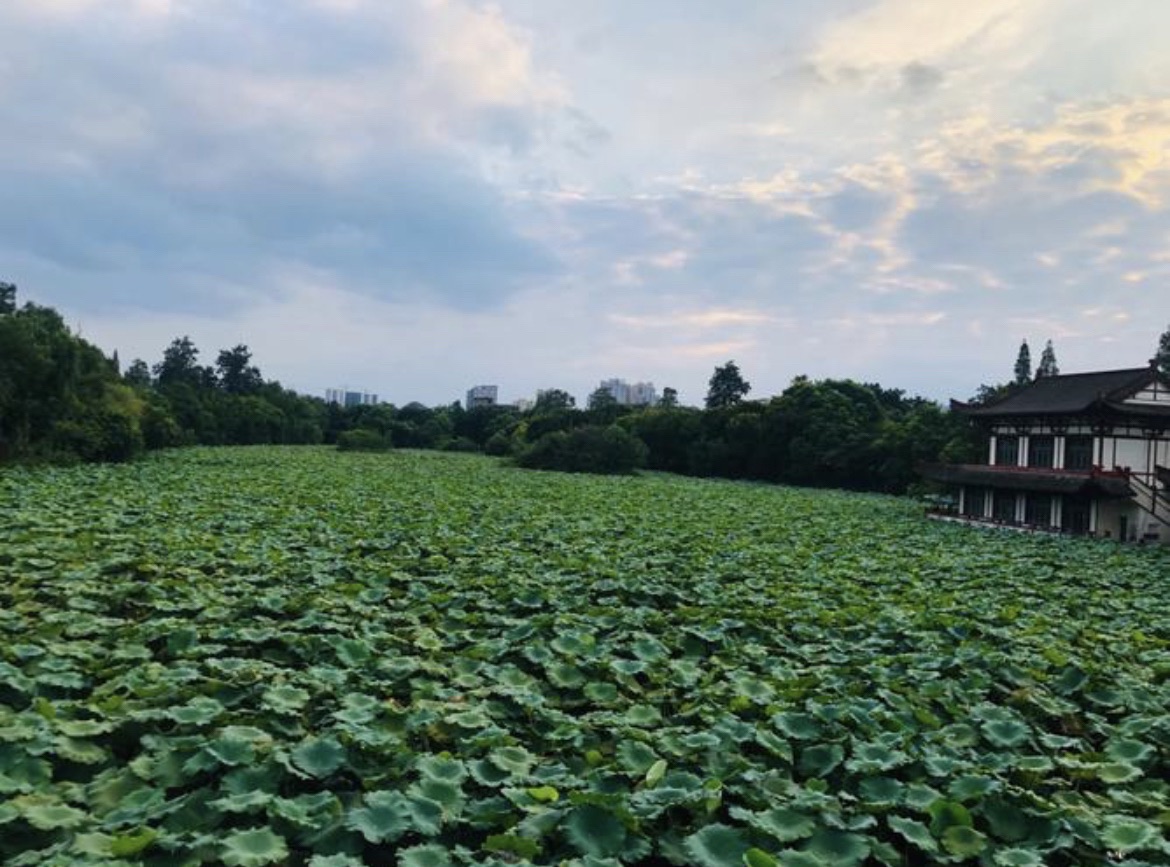 天池公园旅行图片 1