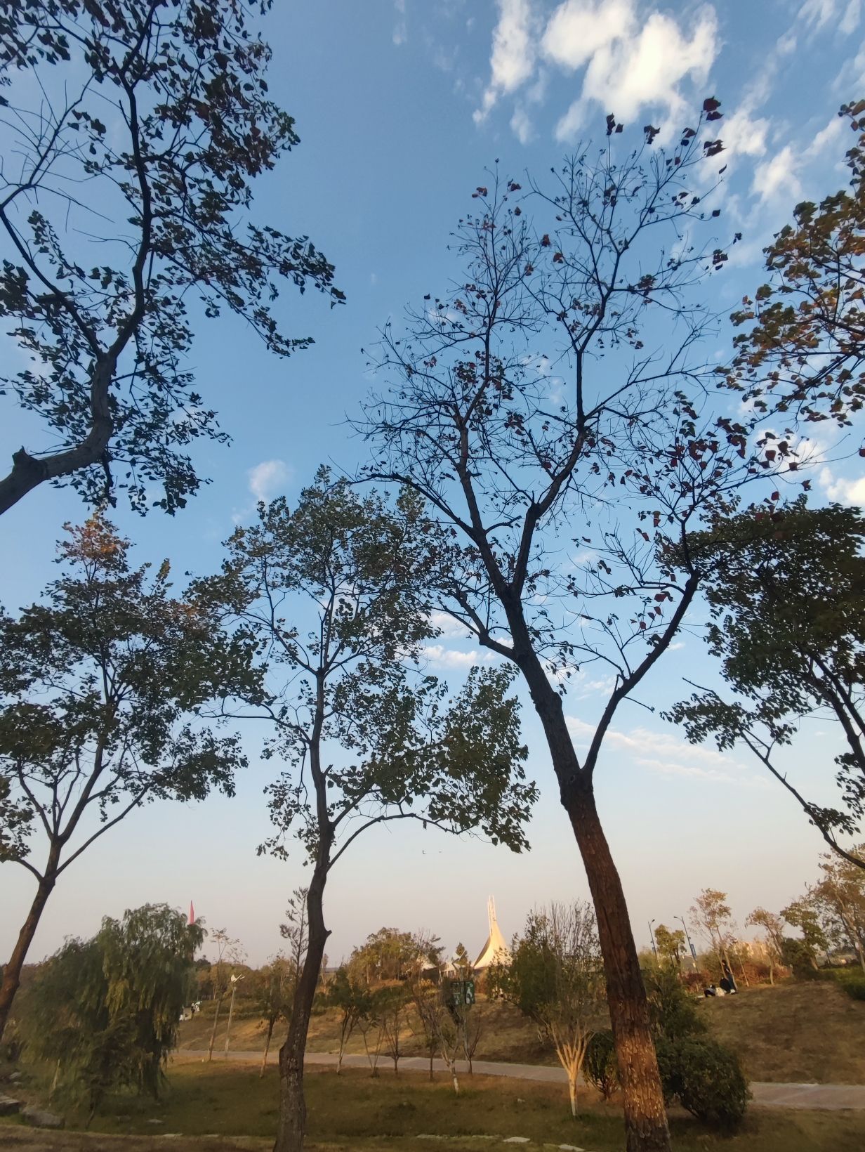 凤凰洲市民公园黄河路站旅行图片 3