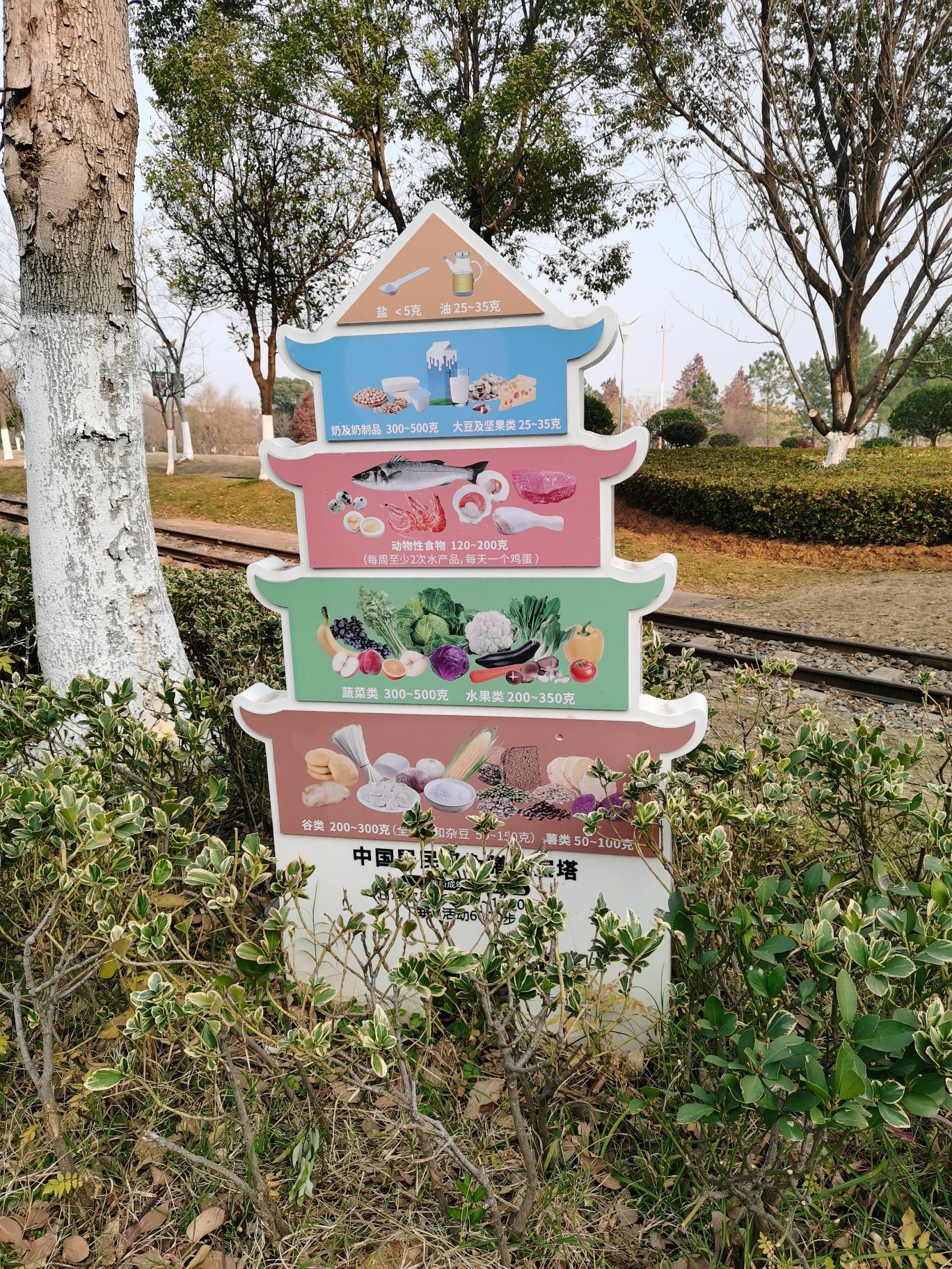凤凰洲市民公园黄河路站旅行图片 2