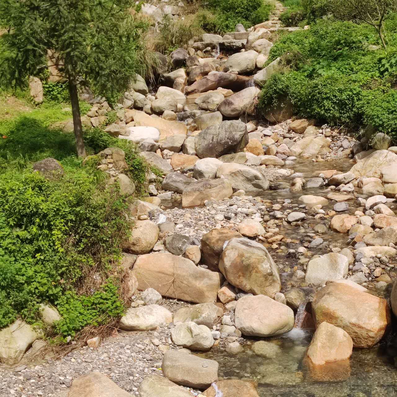 五山梯田旅行图片 3