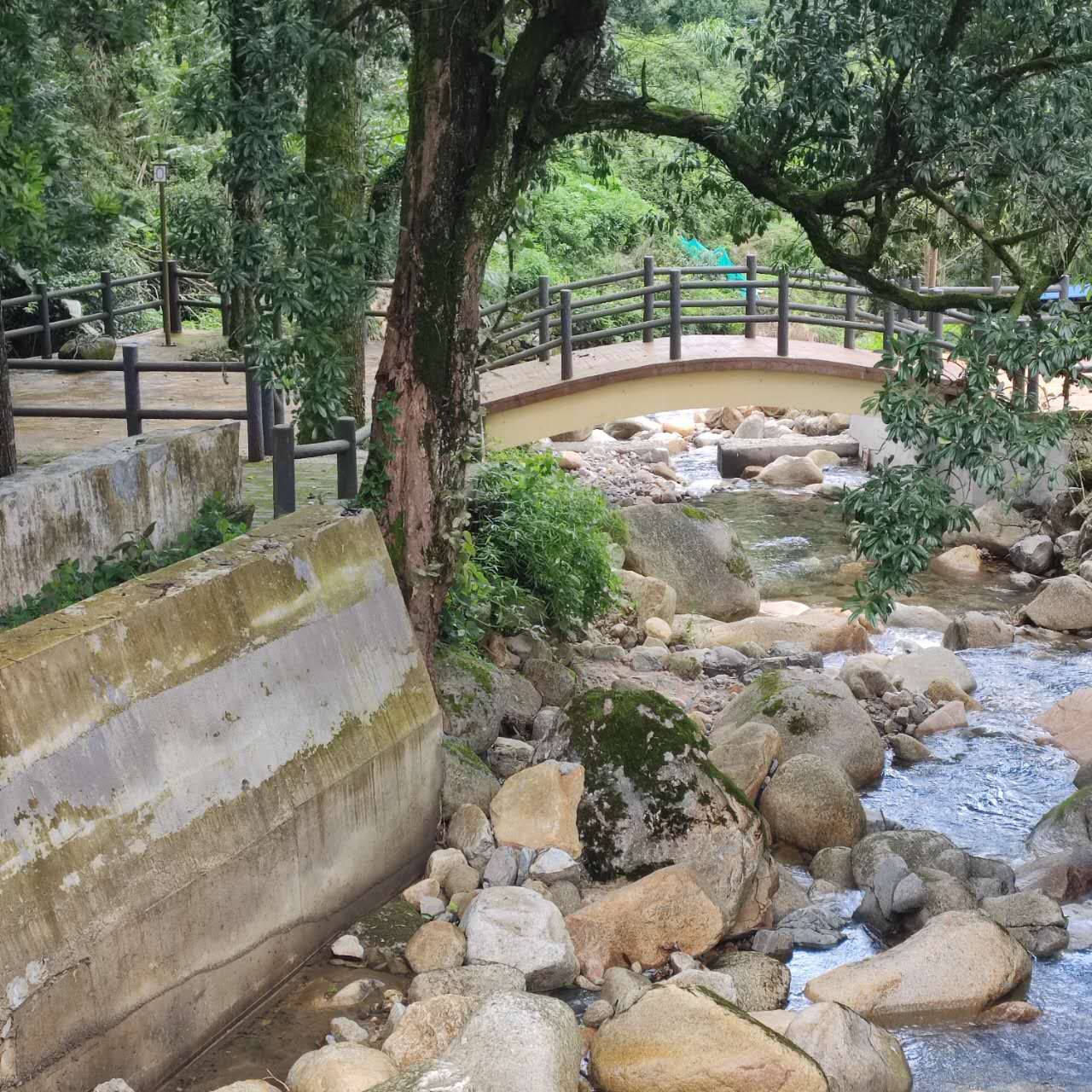 五山梯田旅行图片 2