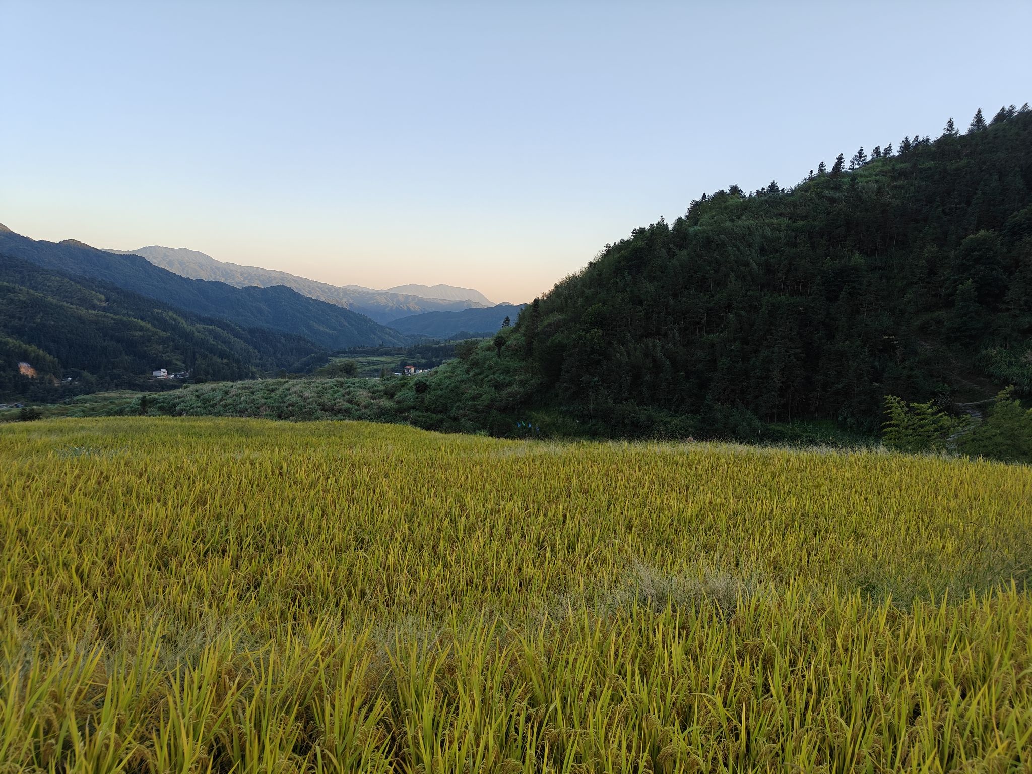 五山梯田旅行图片 2