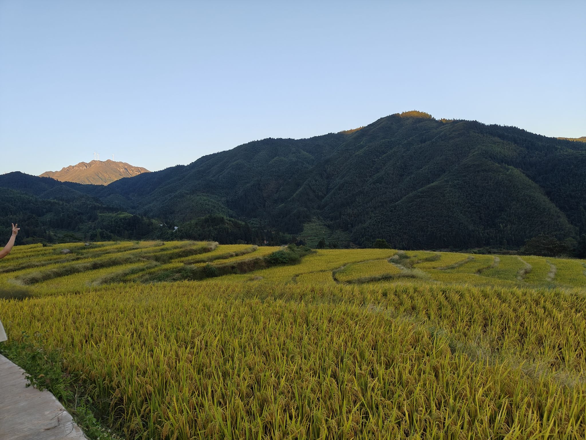 五山梯田旅行图片 1