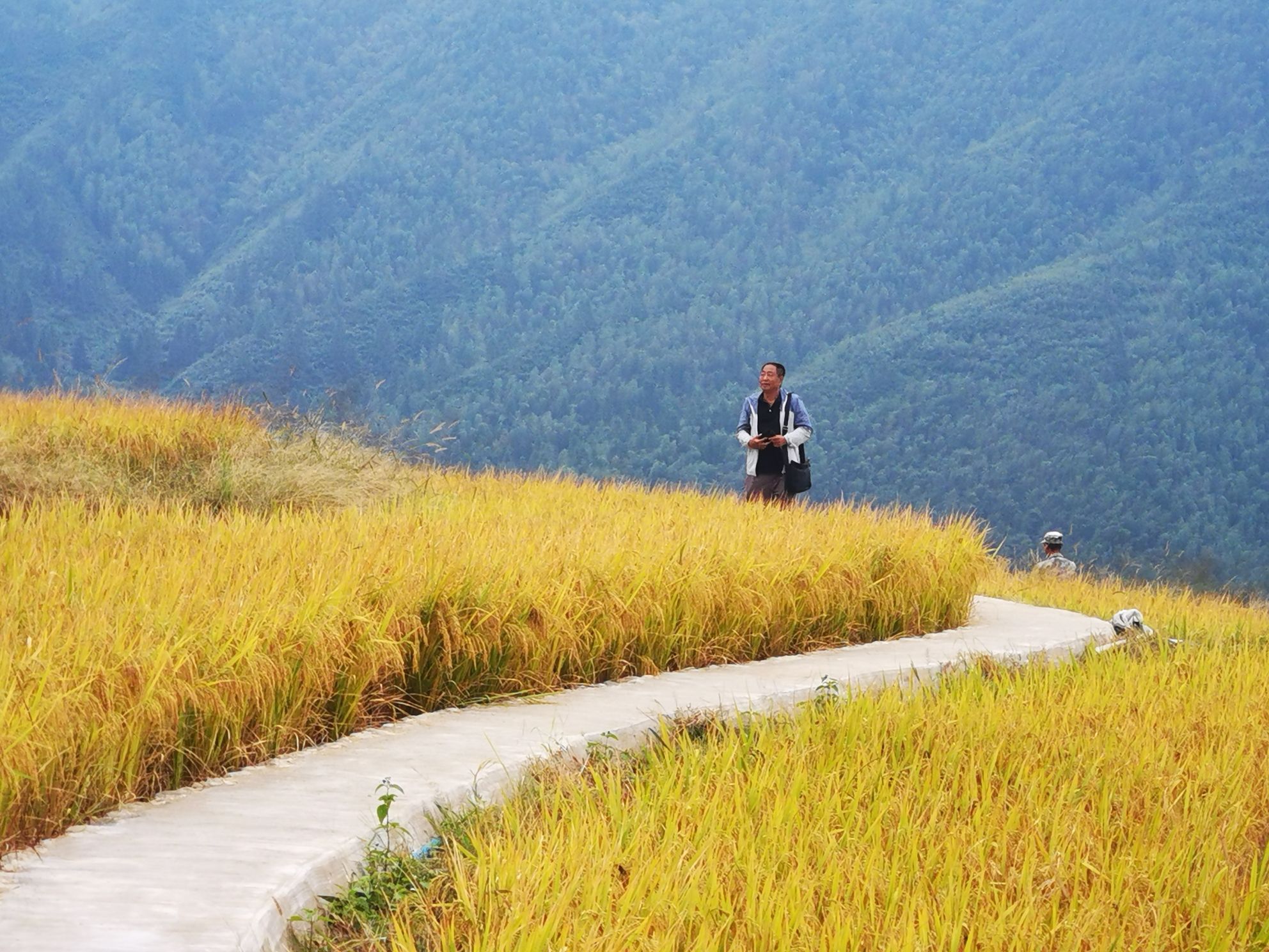 五山梯田旅行图片 1