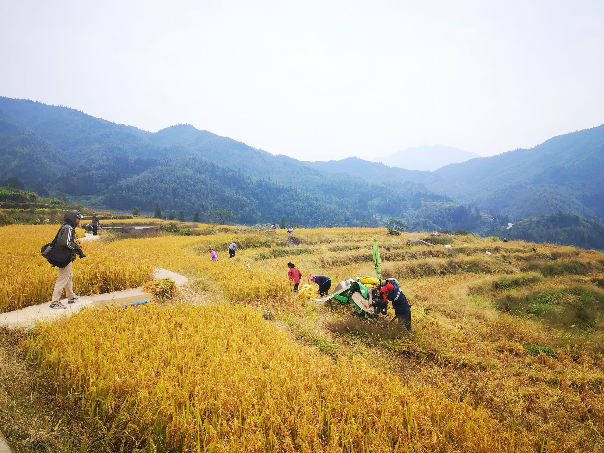 五山梯田旅行图片 3