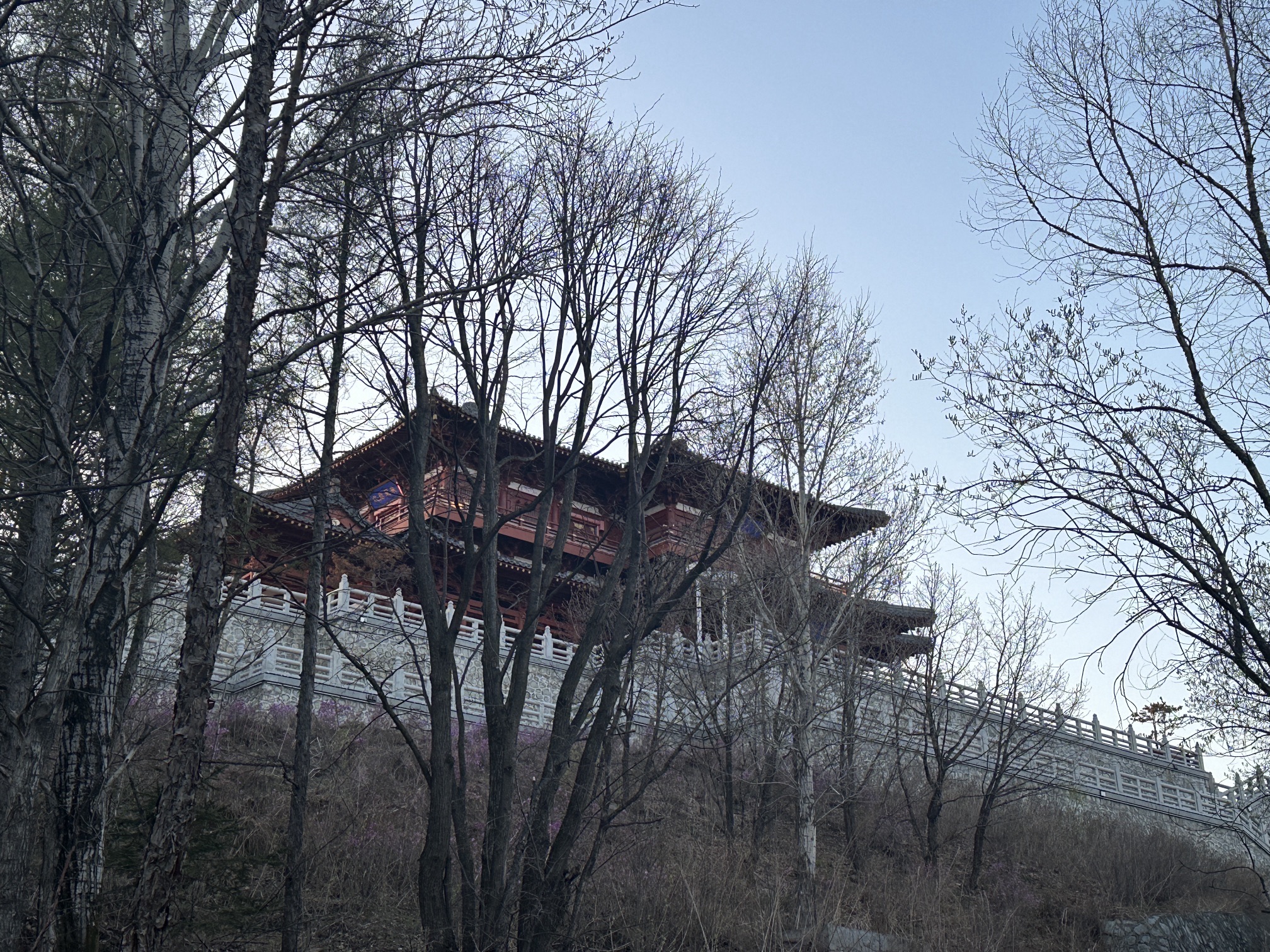 东极阁旅行图片 1