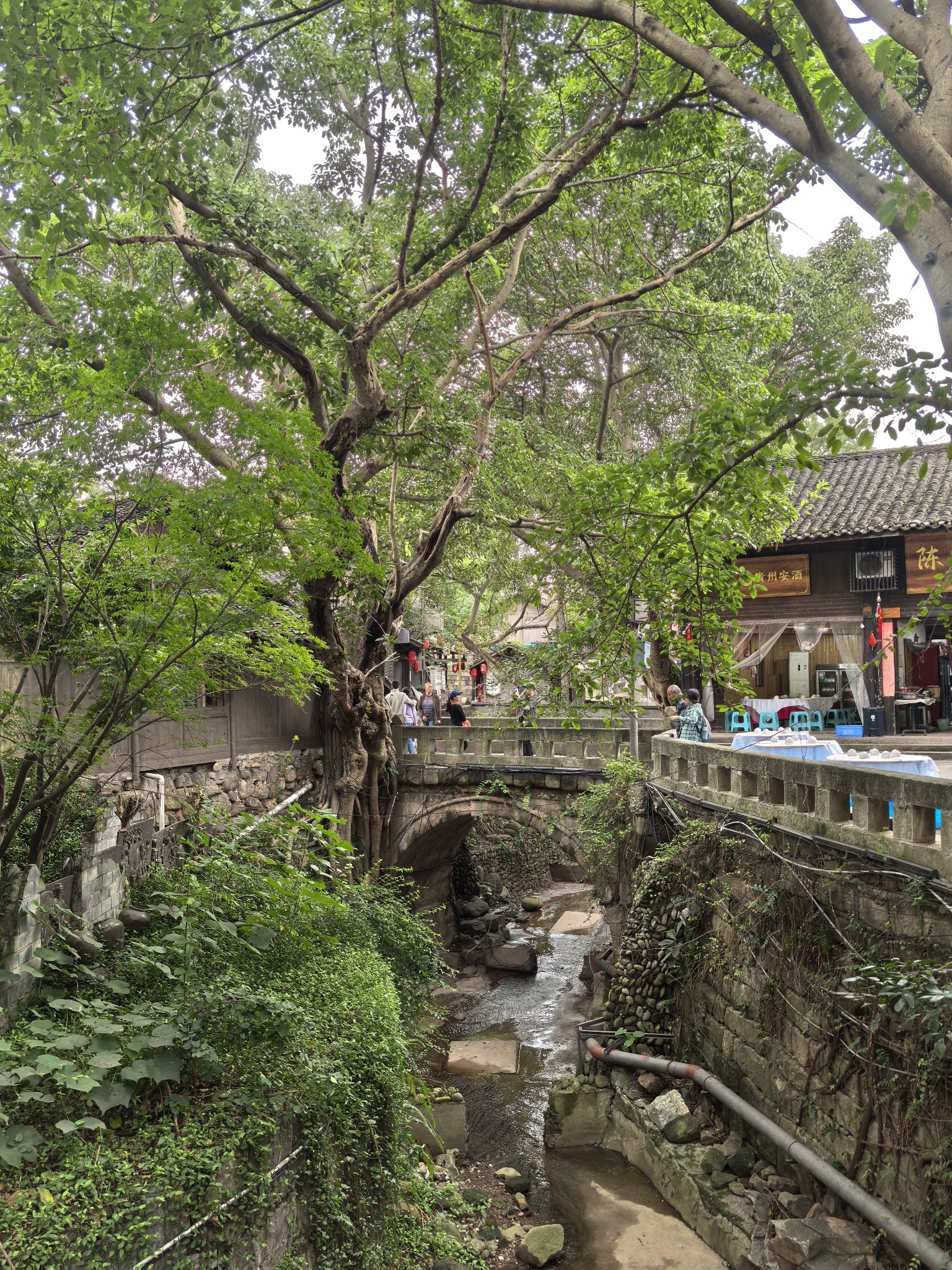 赤水河谷国家级旅游度假区(土城景区)旅行图片 1