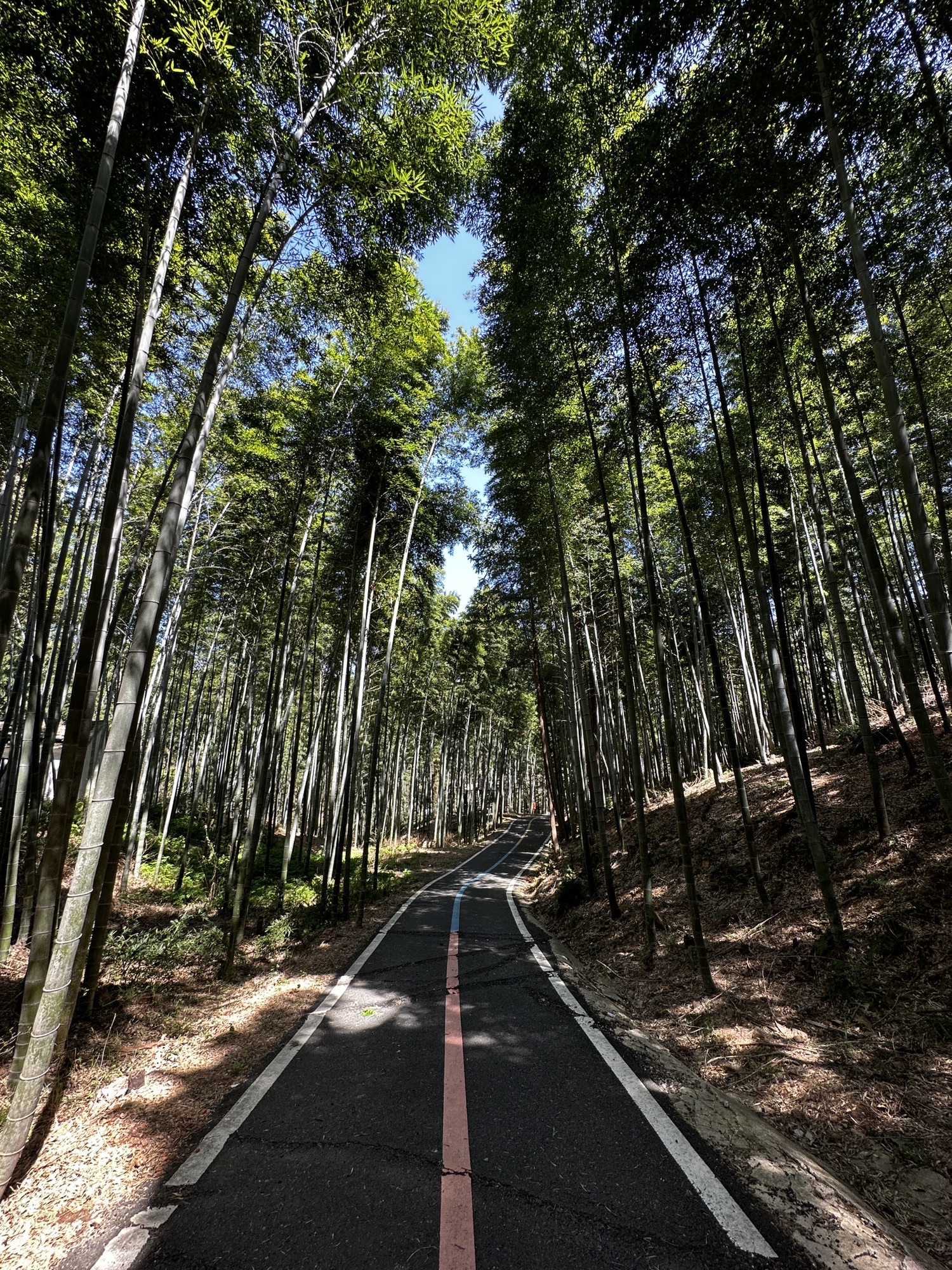 丫髻山景区旅行图片 1