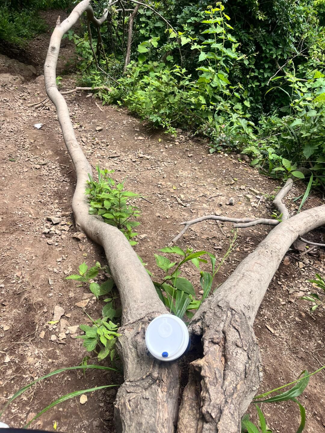 丫髻山景区旅行图片 2