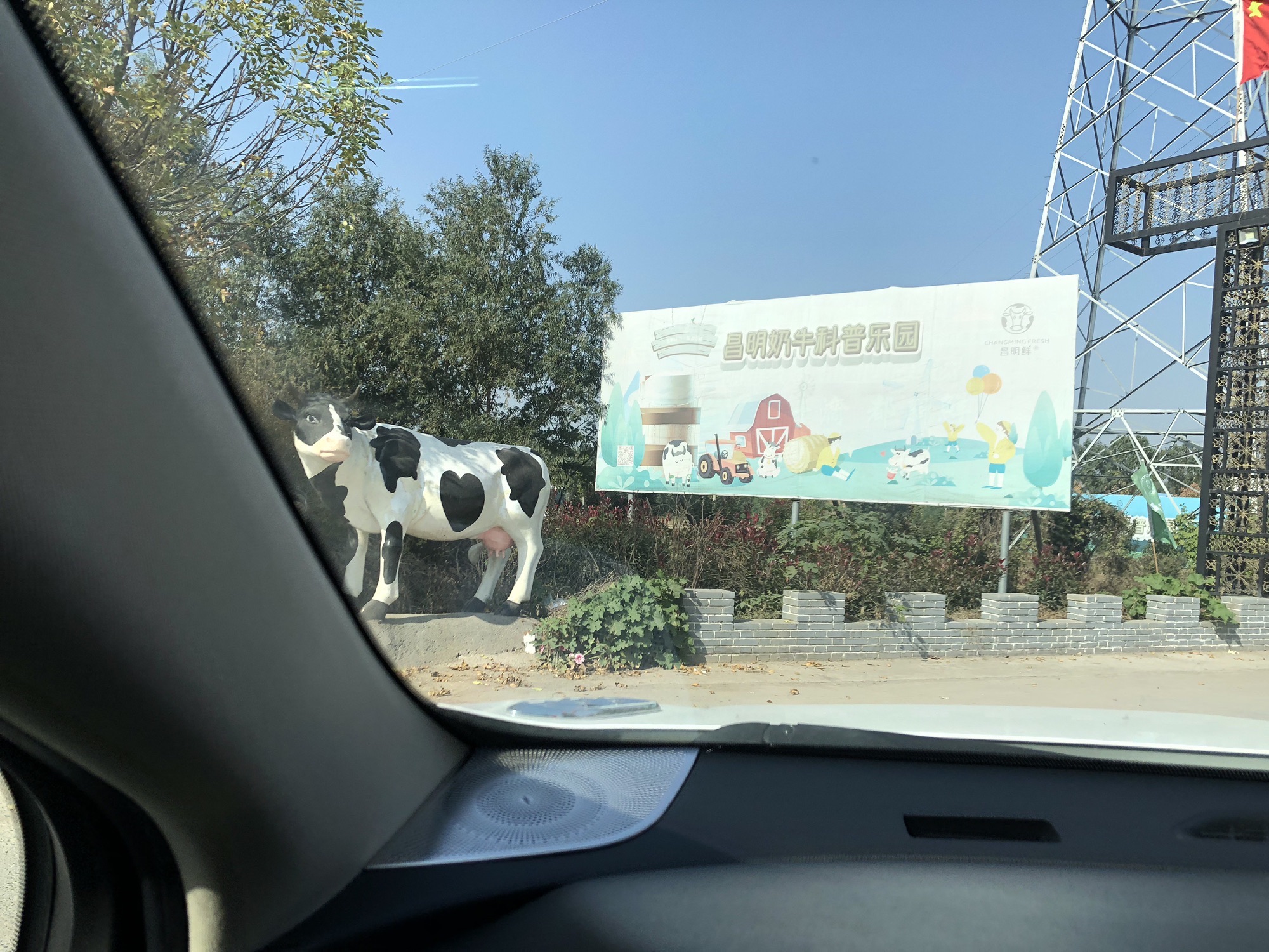 昌明奶牛科普乐园旅行图片 2