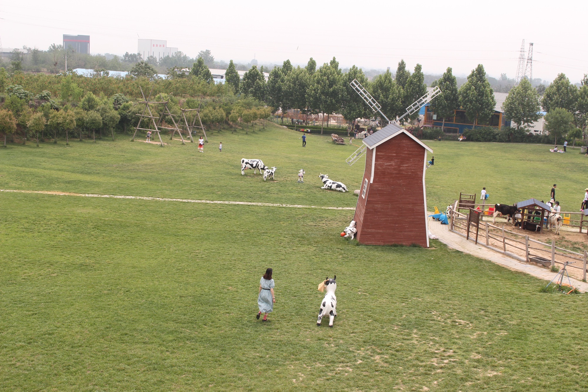 昌明奶牛科普乐园旅行图片 1