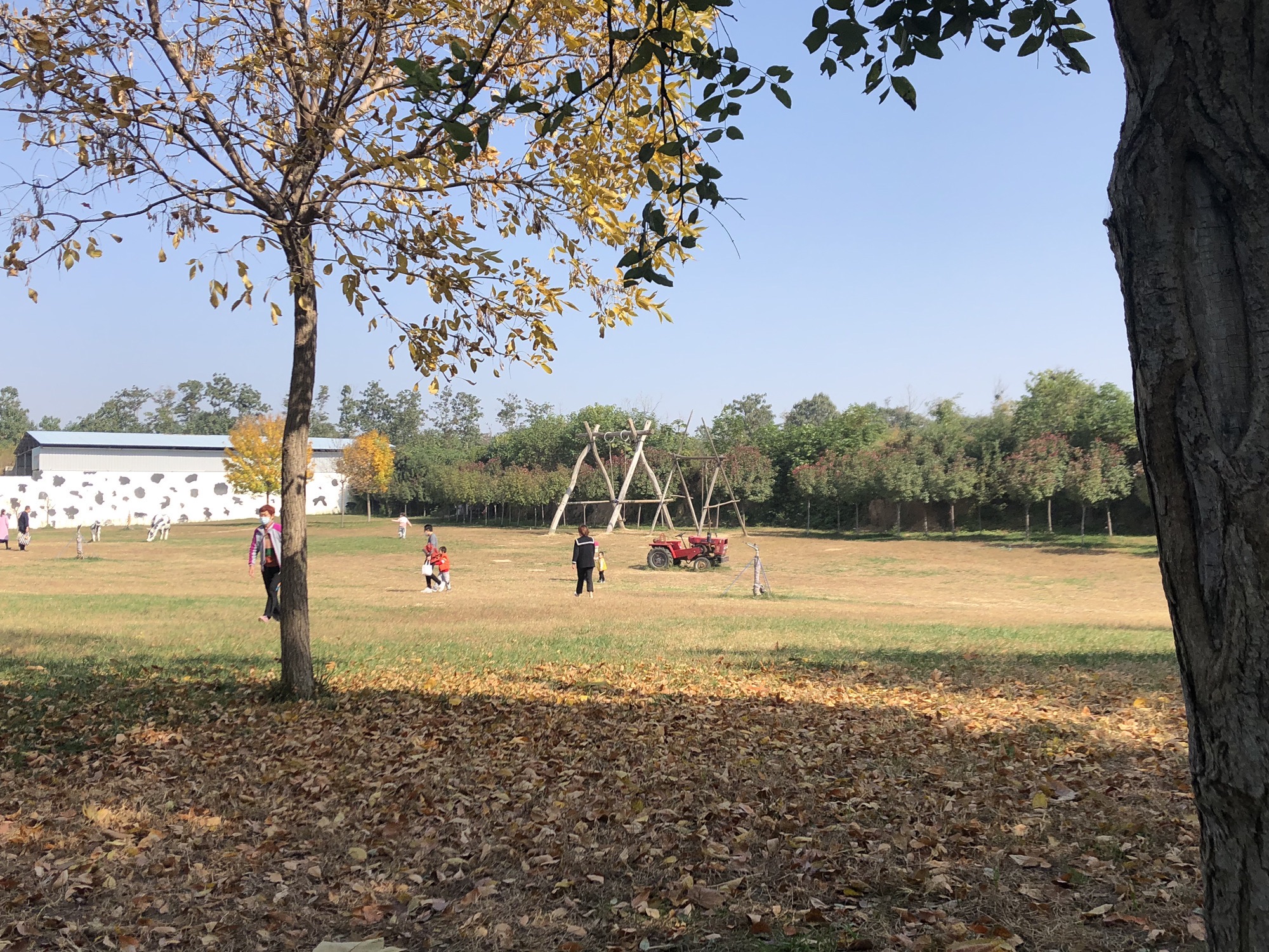 昌明奶牛科普乐园旅行图片 1