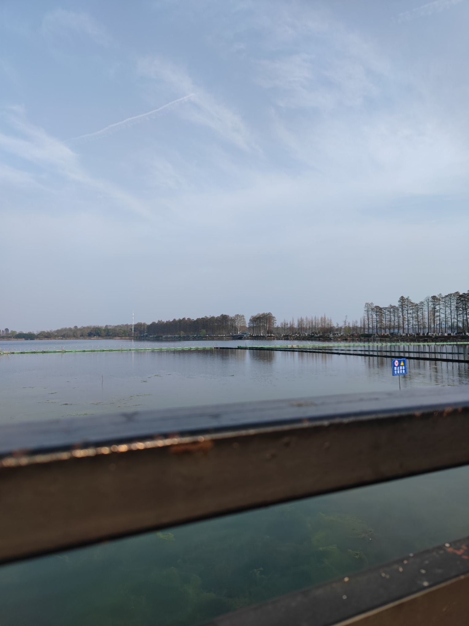 华侨城生态艺术公园旅行图片 3
