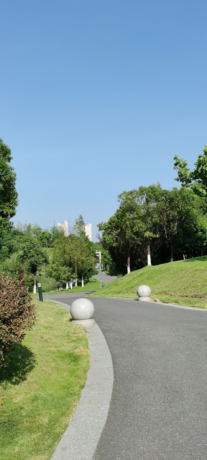 九龙山森林公园