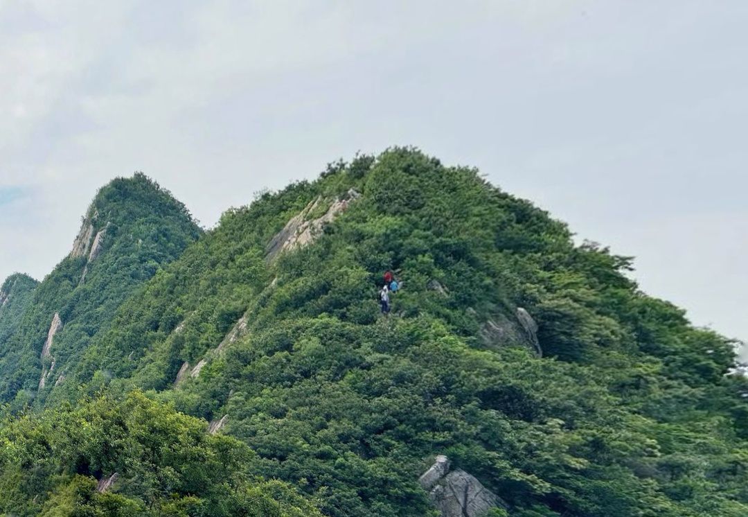 高骊山旅行图片 3