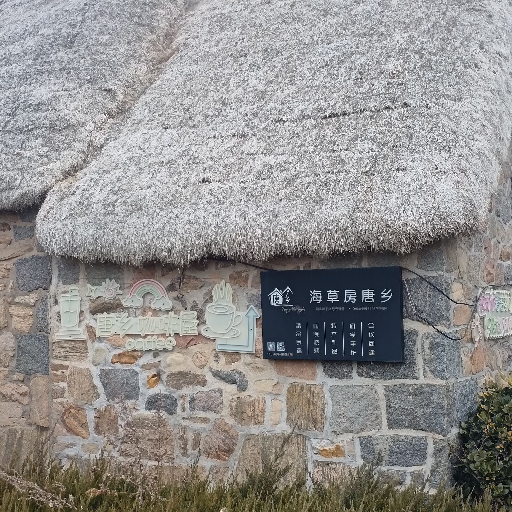 东楮岛村旅行图片 1