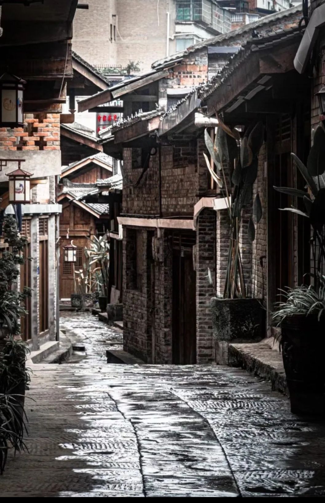 白沙古镇旅行图片 2