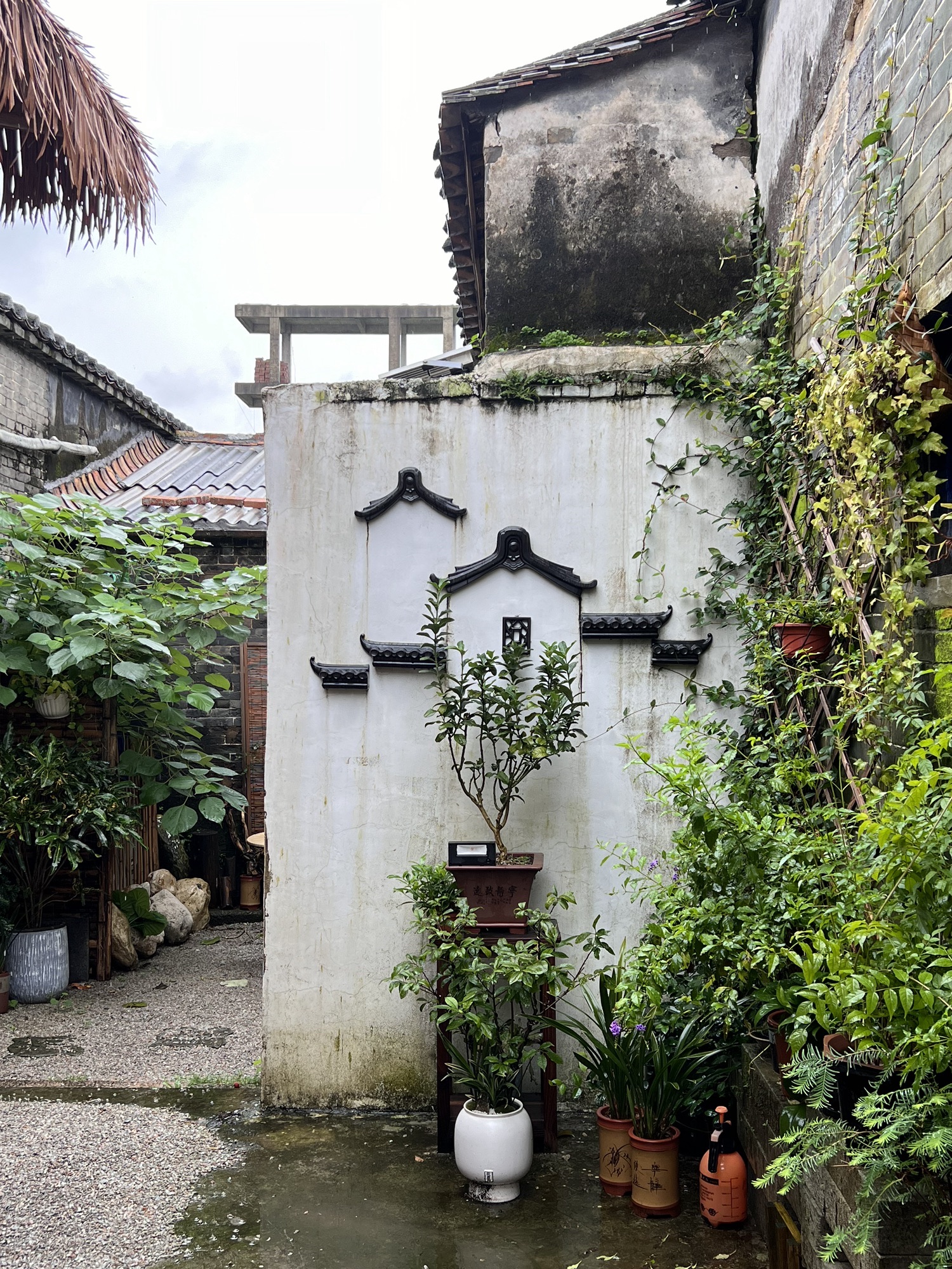 港头村古村落旅行图片 2