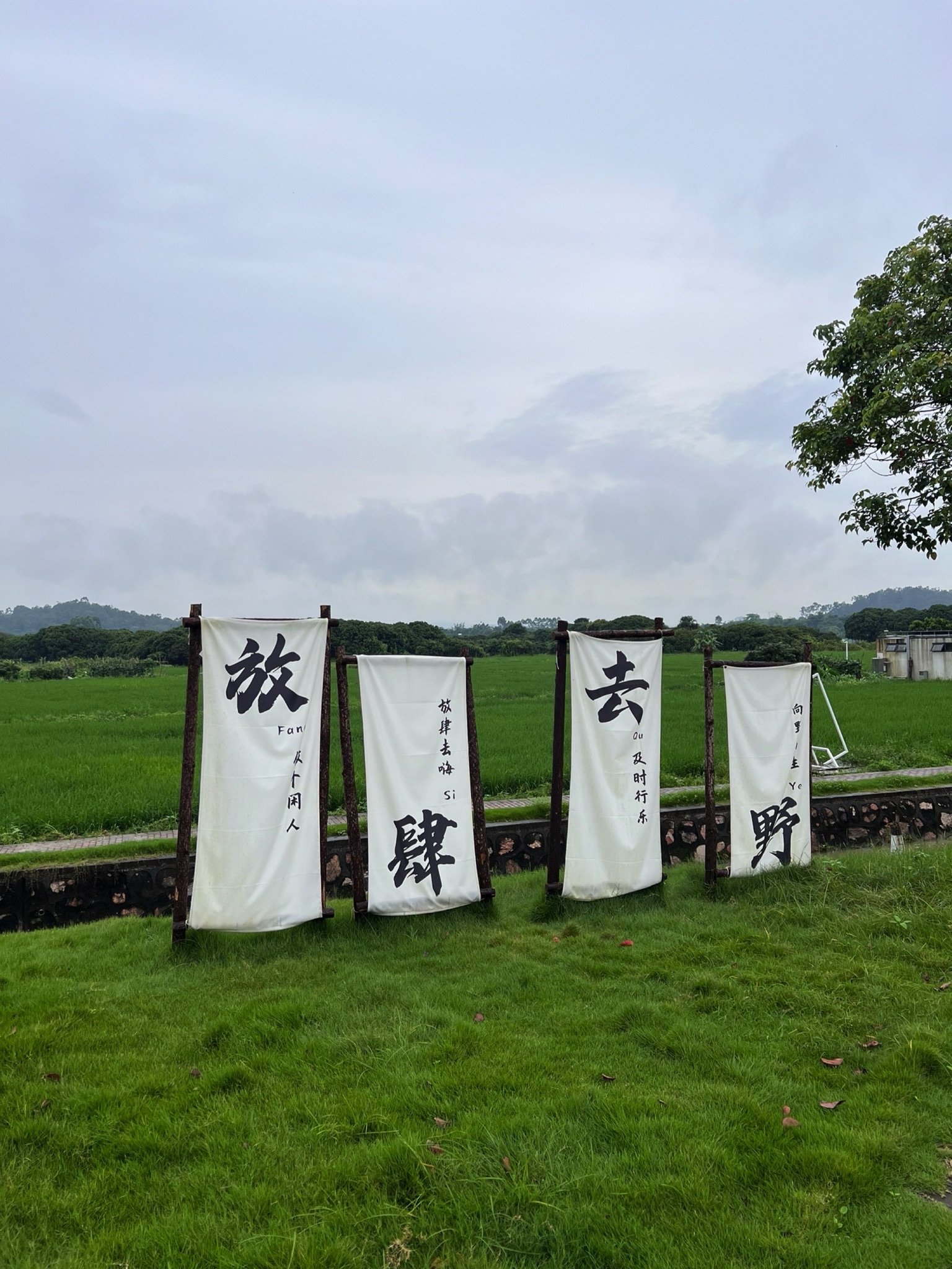港头村古村落旅行图片 1