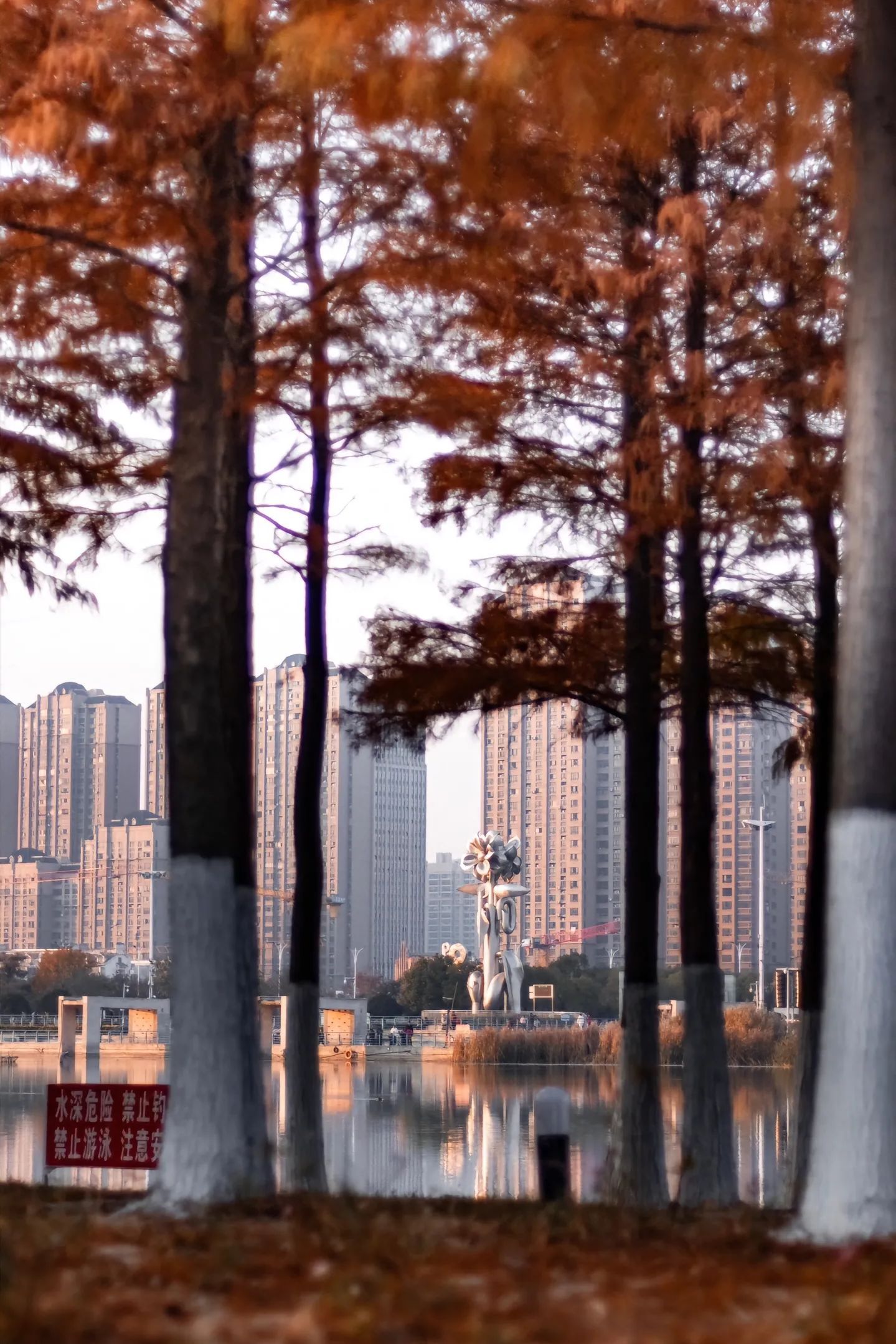 亳州南湖公园旅行图片 1