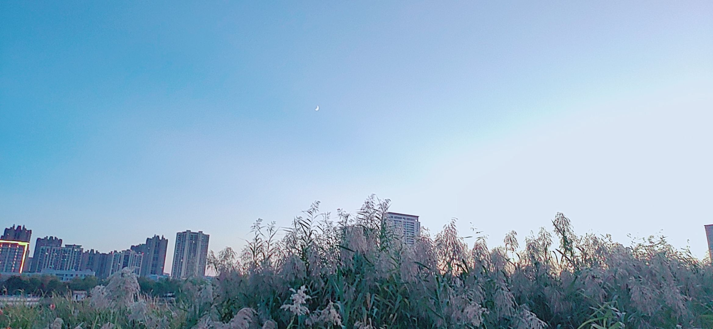 亳州南湖公园旅行图片 3