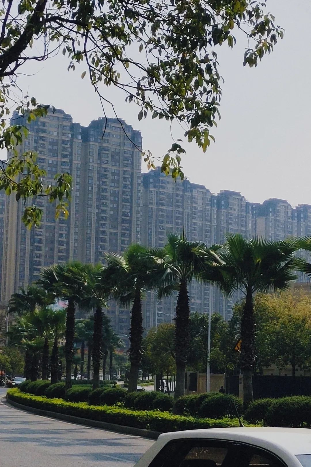 那考河湿地公园旅行图片 2