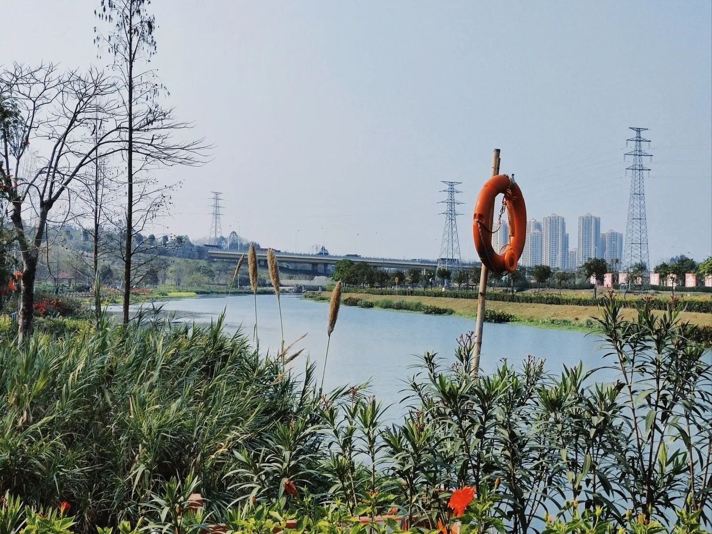 那考河湿地公园旅行图片 3