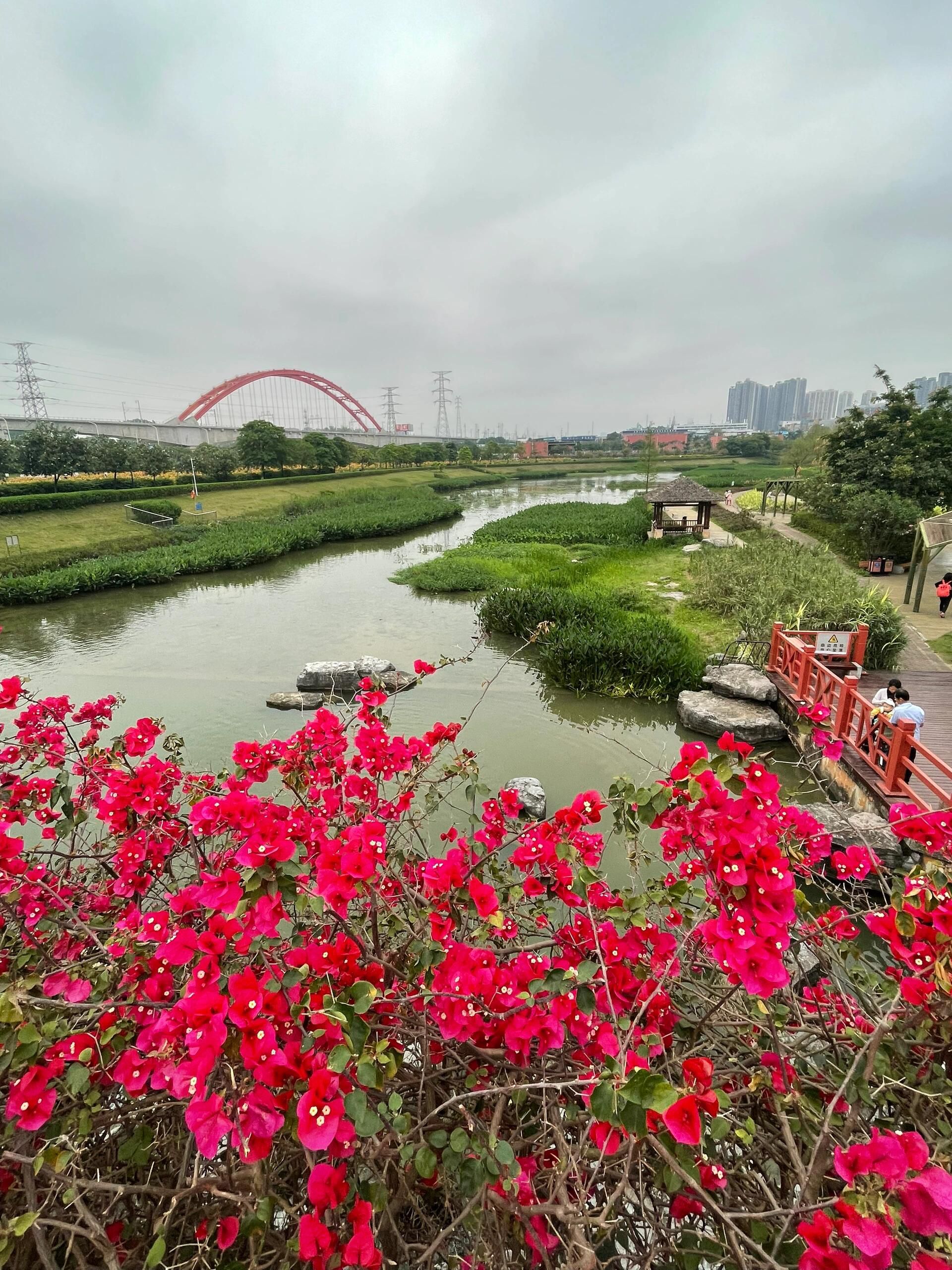 那考河湿地公园旅行图片 1
