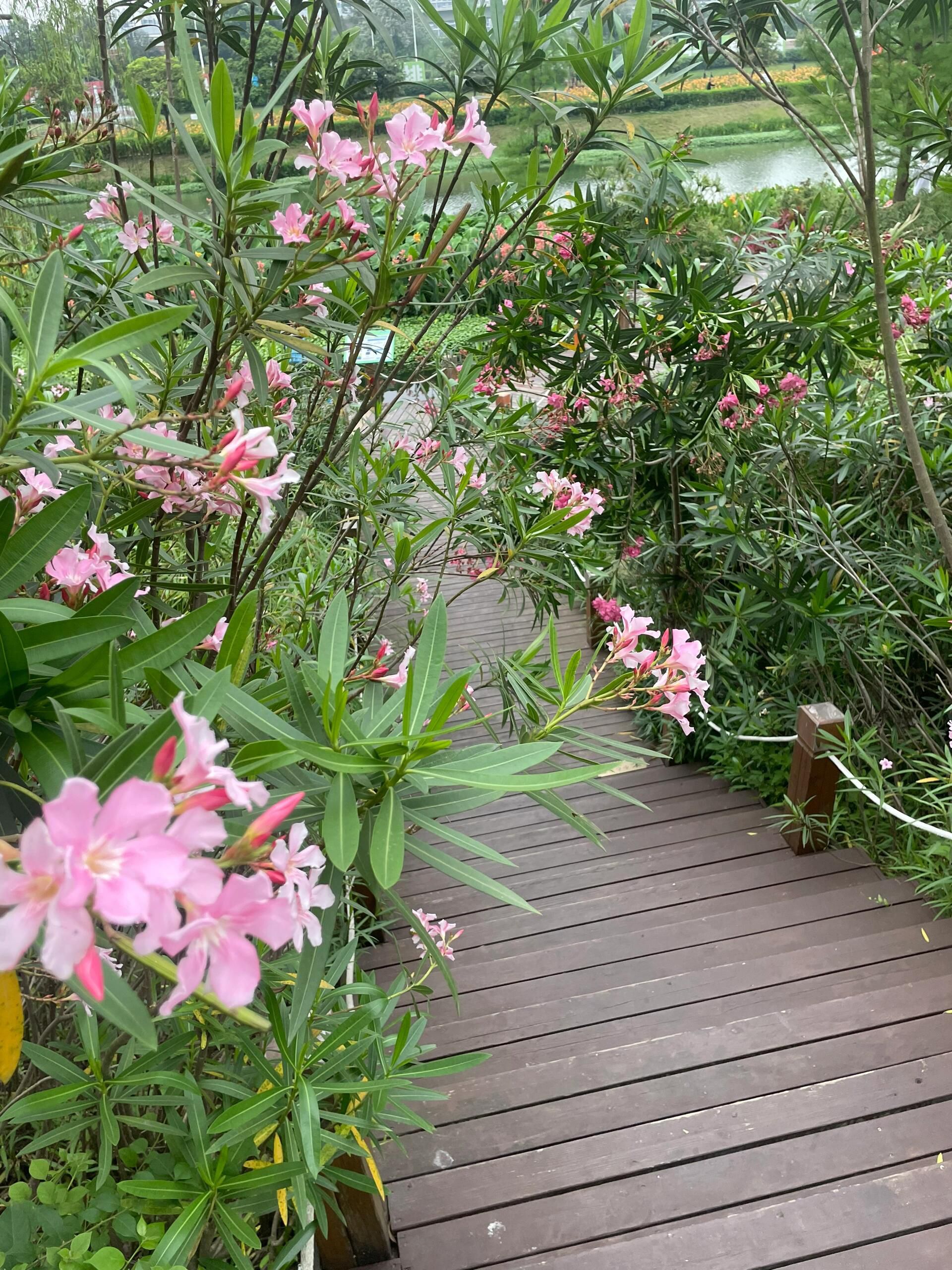 那考河湿地公园旅行图片 3