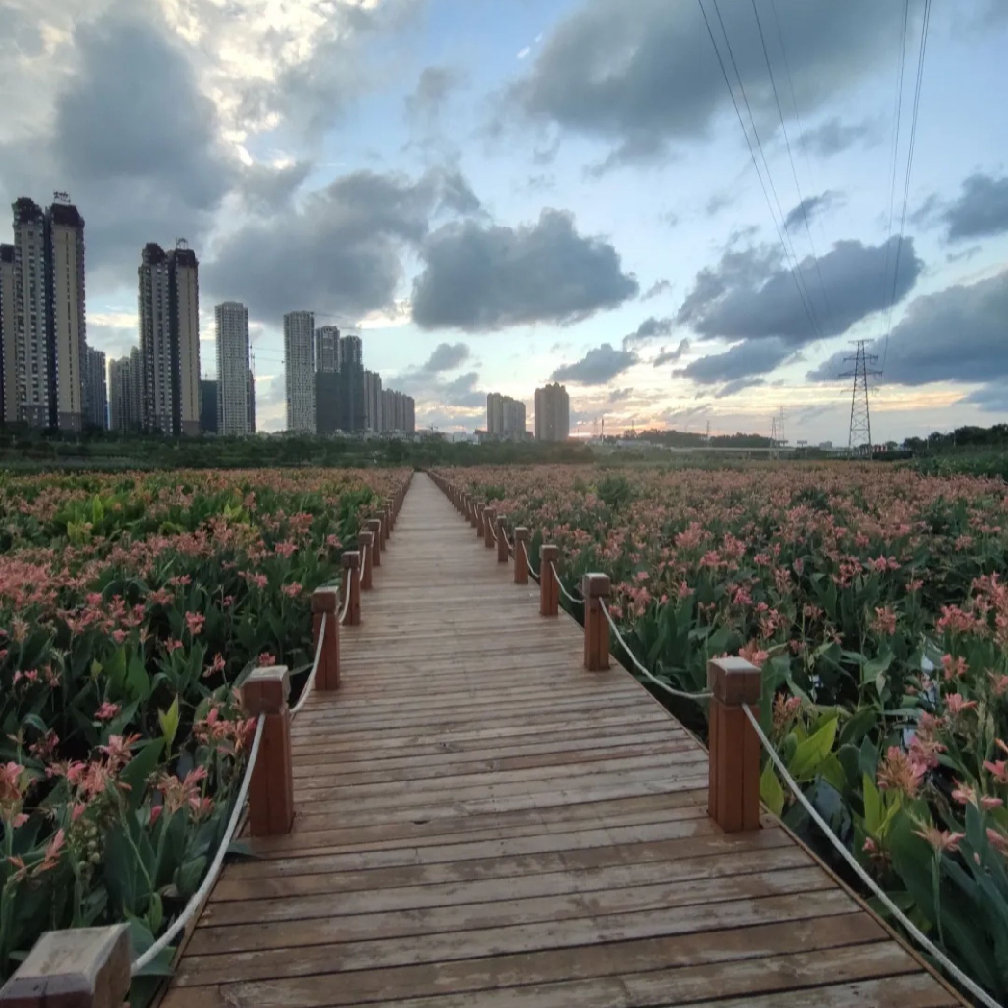那考河湿地公园旅行图片 2