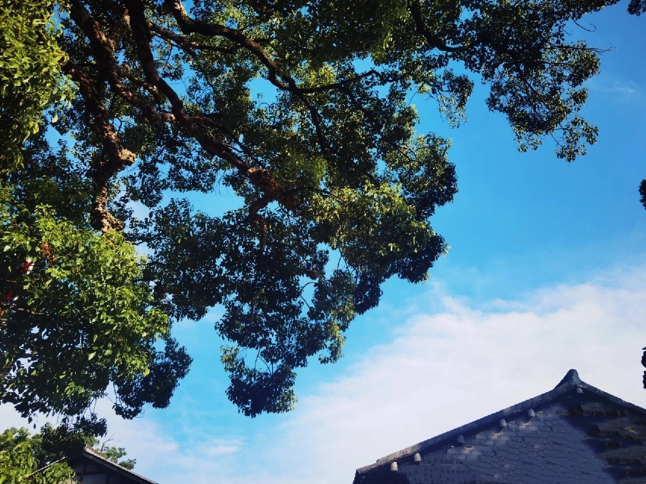黄岩柔川景区旅行图片 3