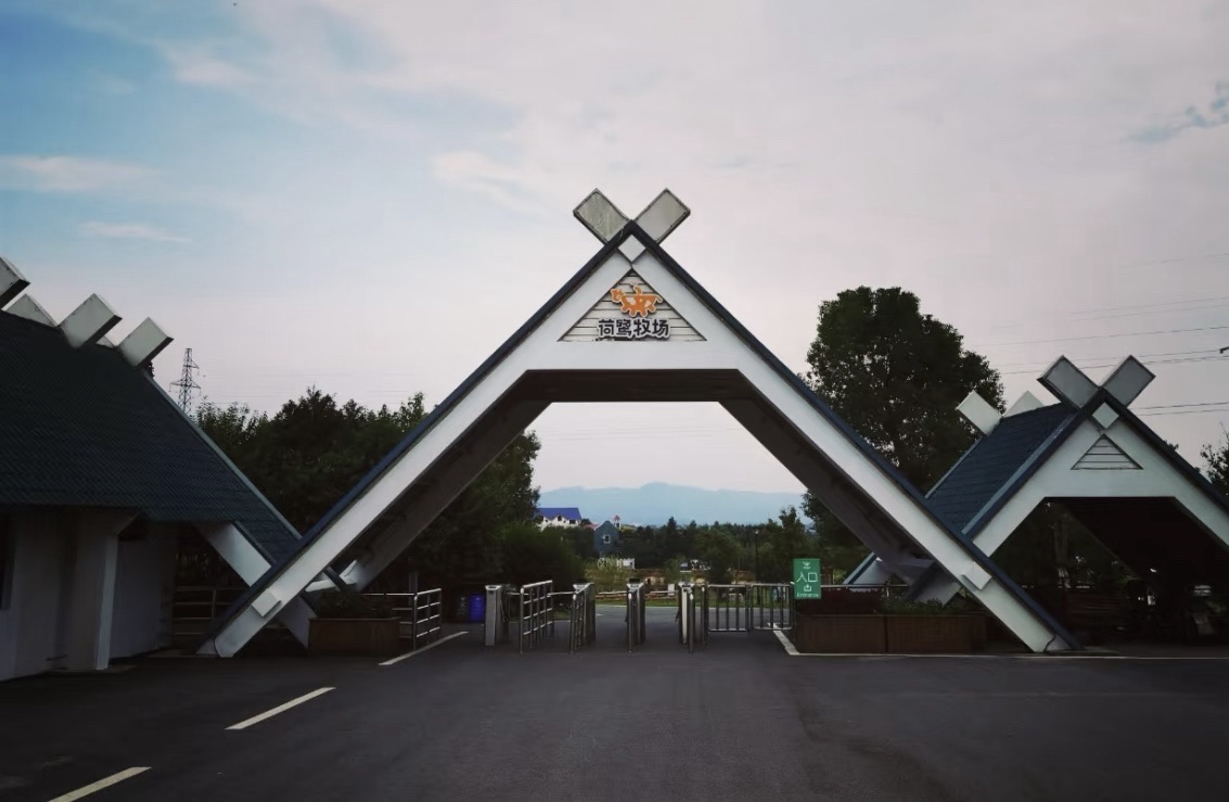 荷鹭风情小镇旅行图片 1