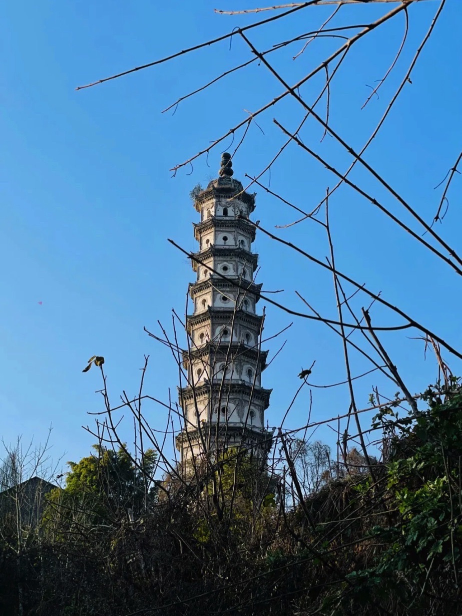 回澜塔旅行图片 2