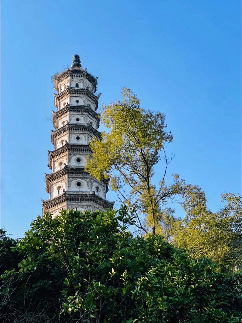 回澜塔旅行图片 3