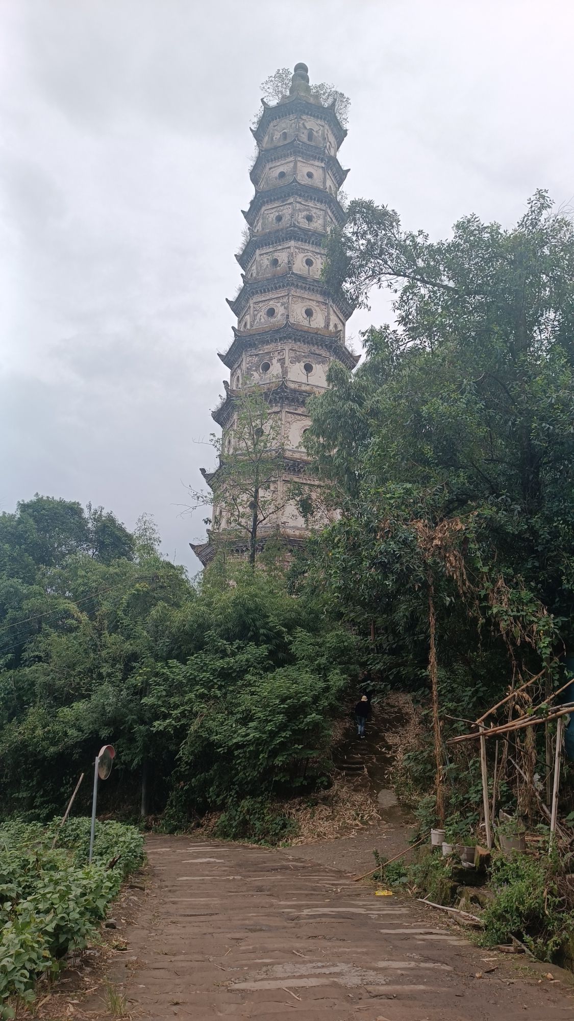回澜塔旅行图片 1