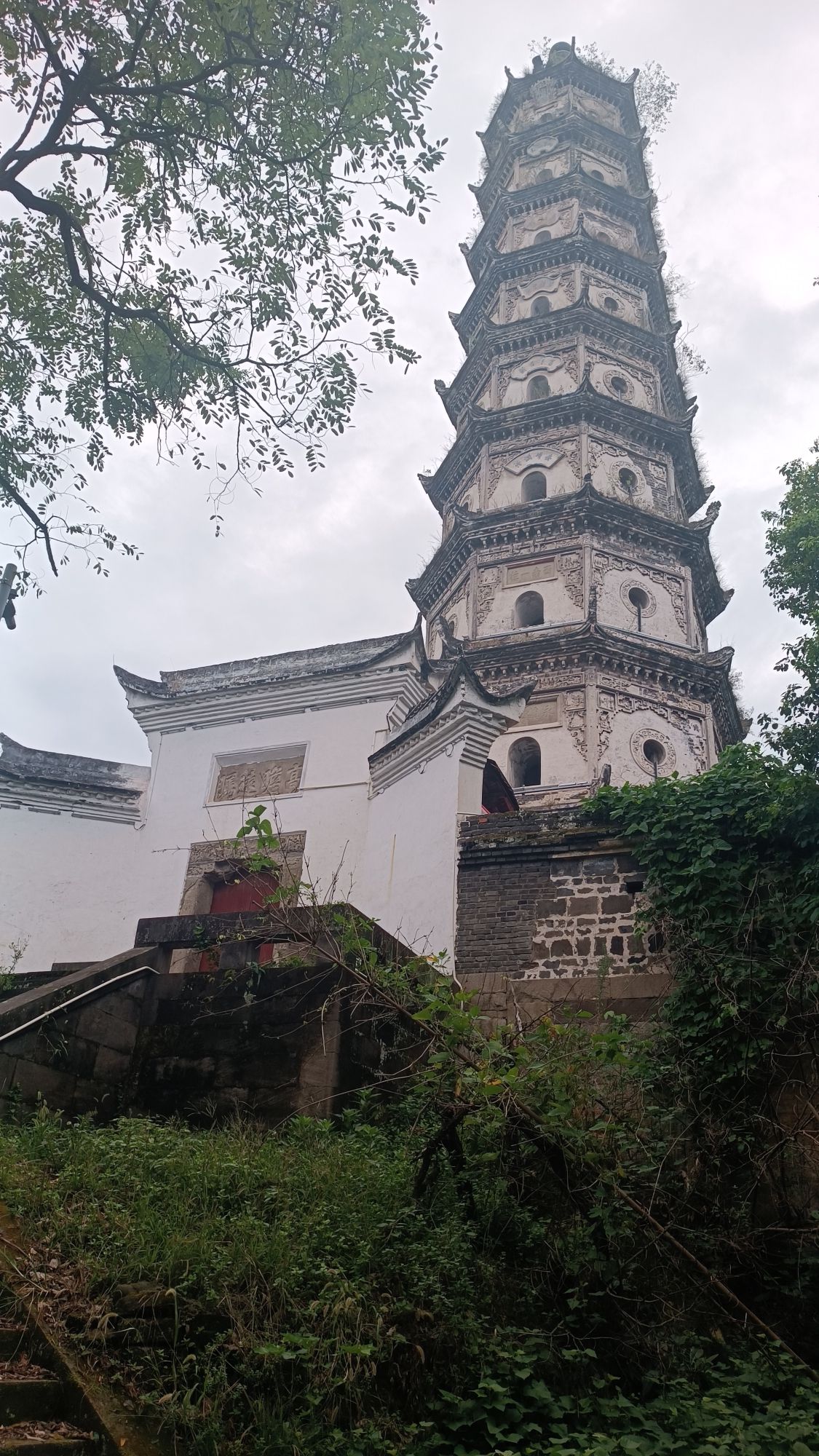回澜塔旅行图片 3