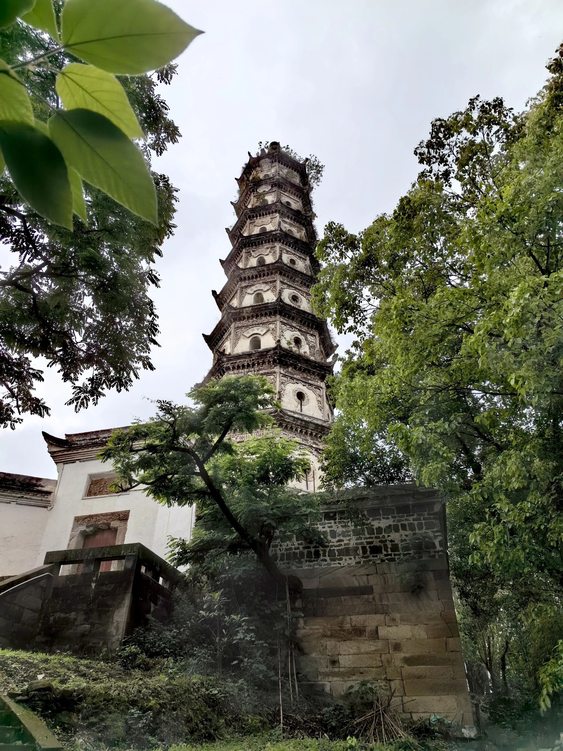 回澜塔旅行图片 2