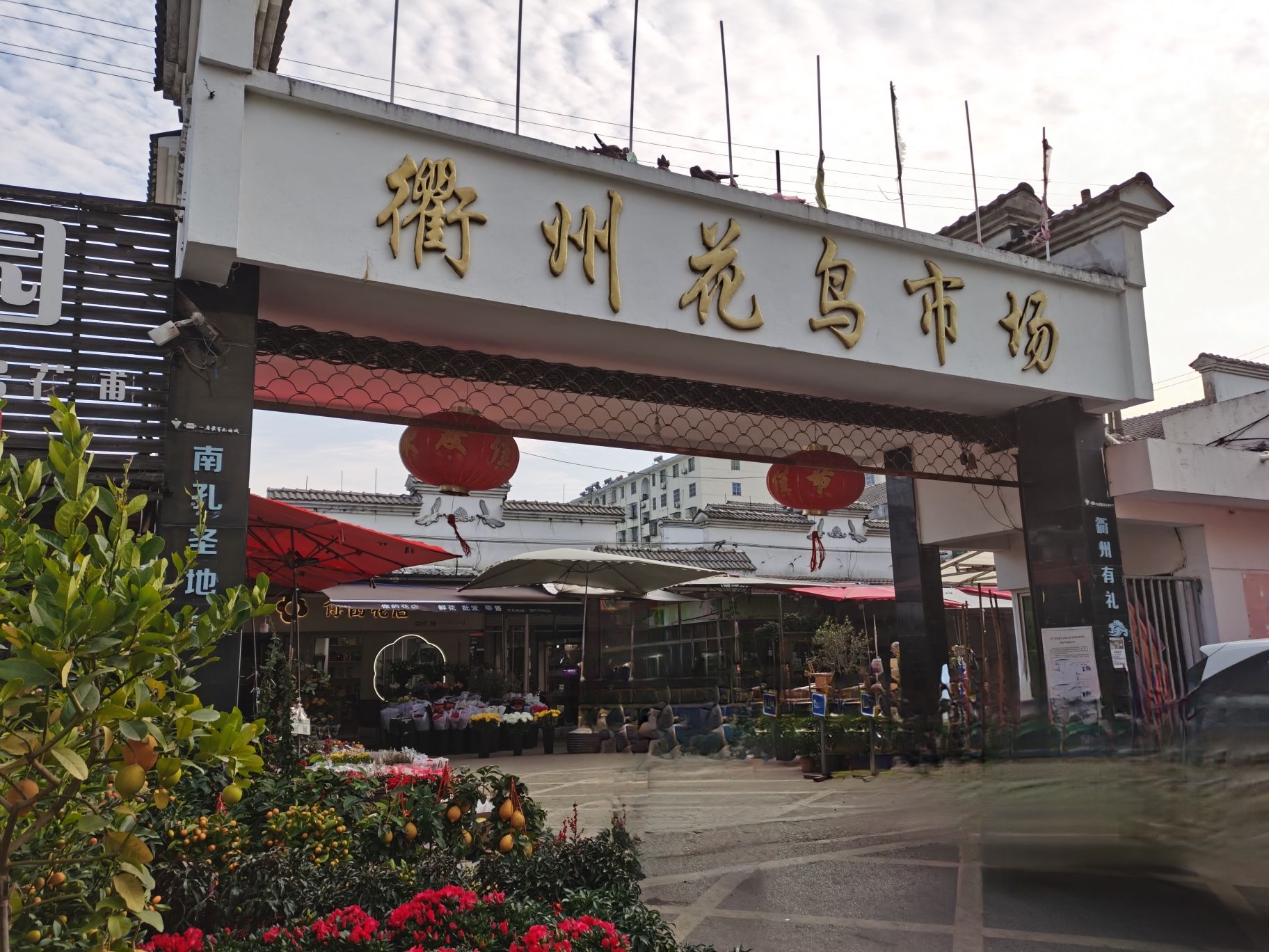 衢州市花鸟市场