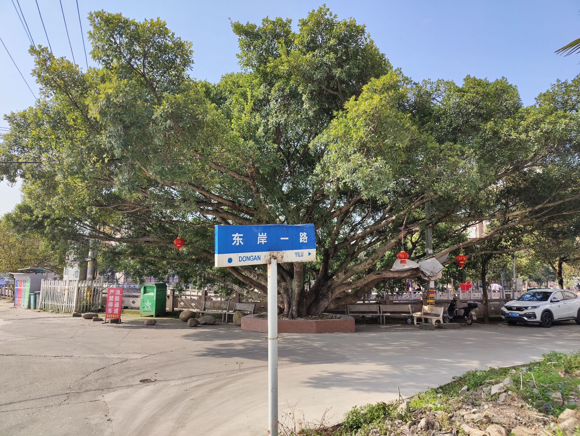 东岸游园旅行图片 1