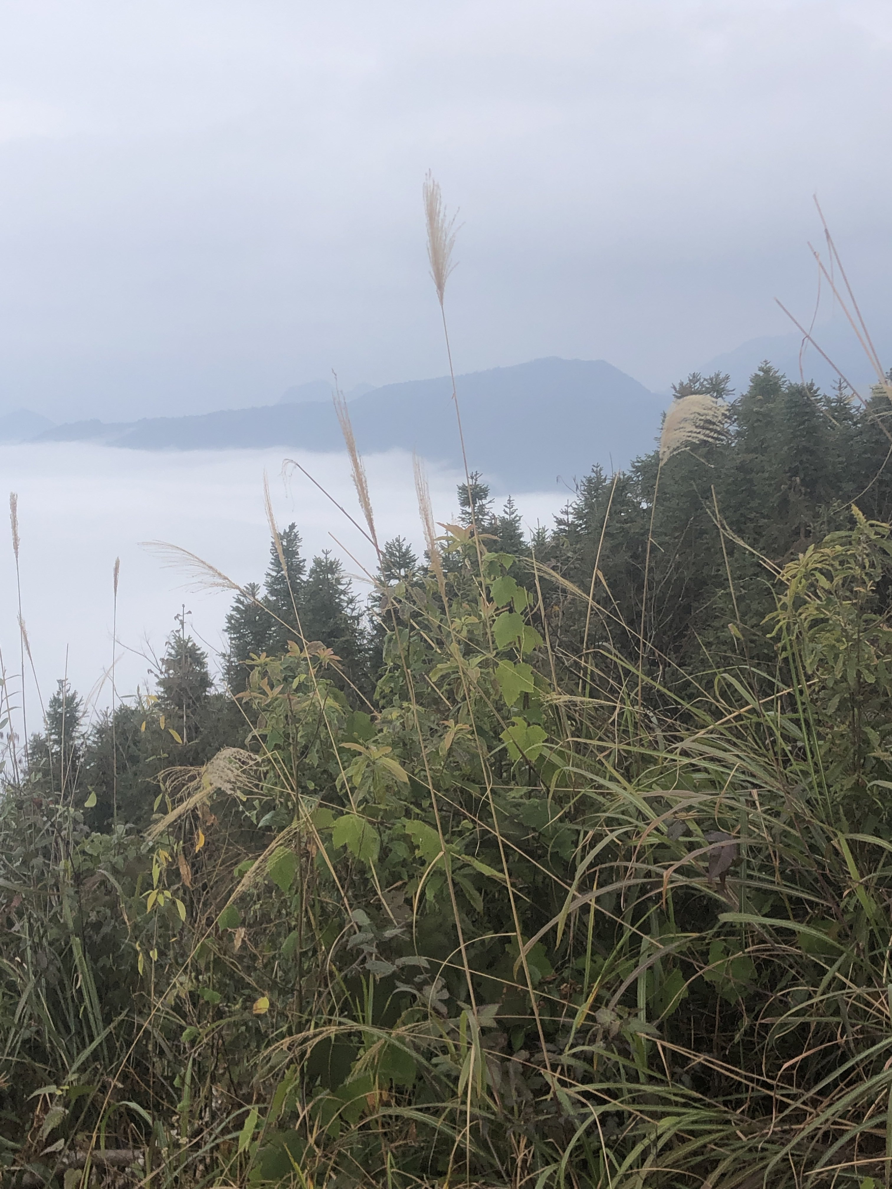 阿婆山旅游风景区旅行图片 1