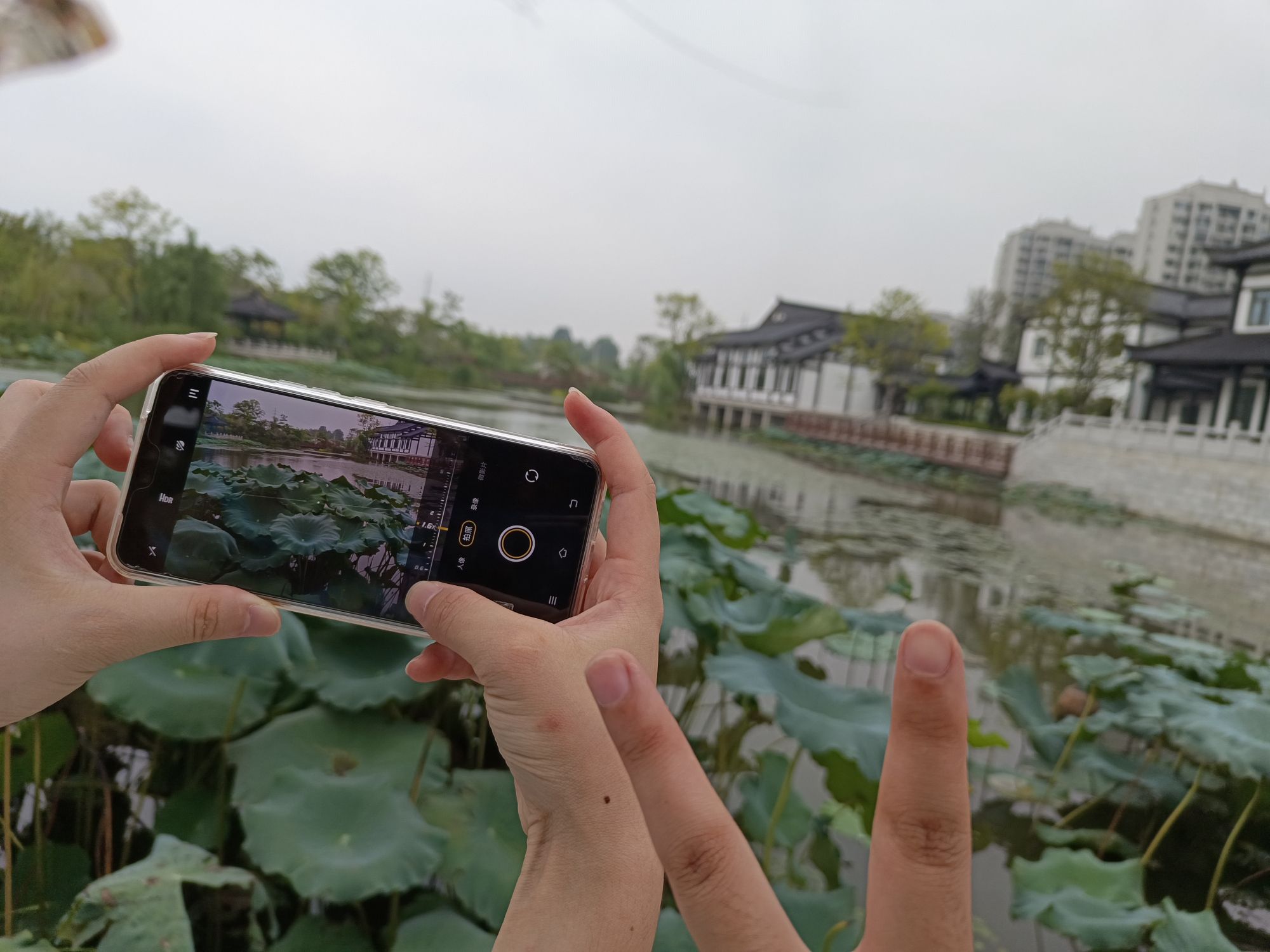 二乔公园旅行图片 1