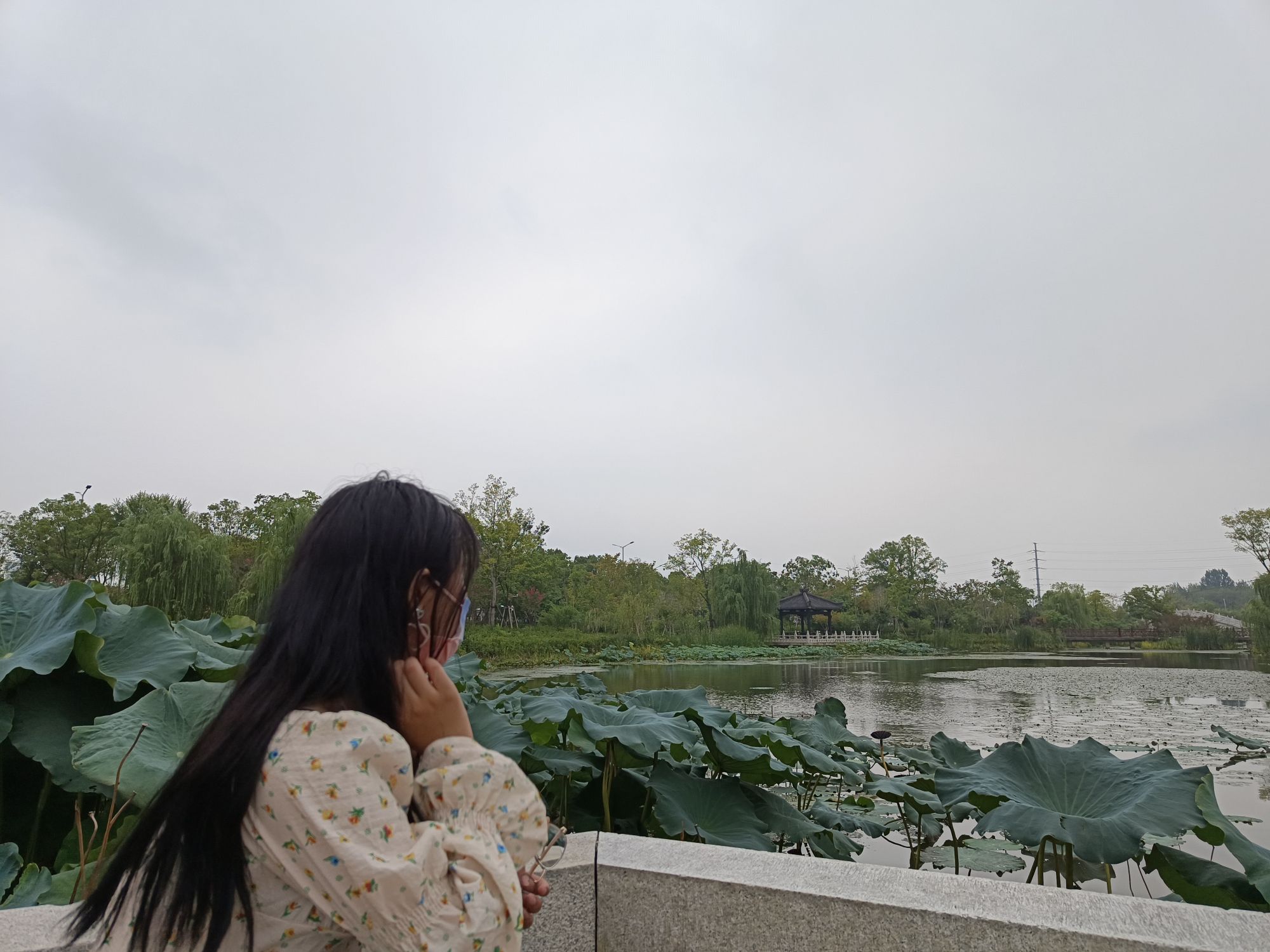二乔公园旅行图片 2