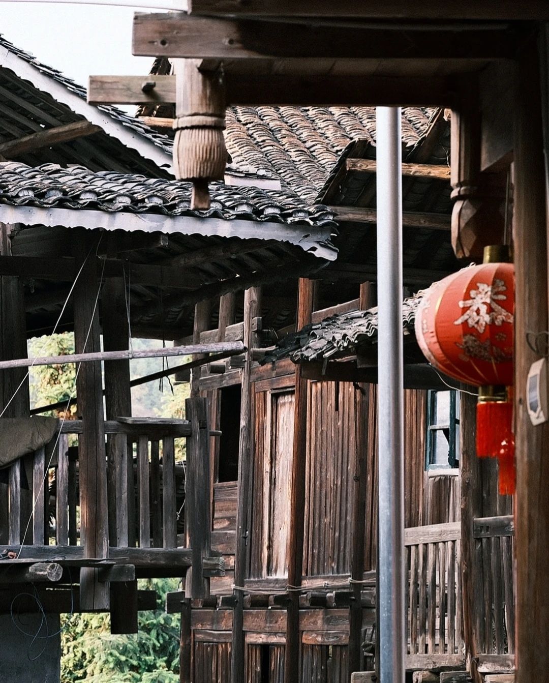 大园古苗寨旅行图片 2