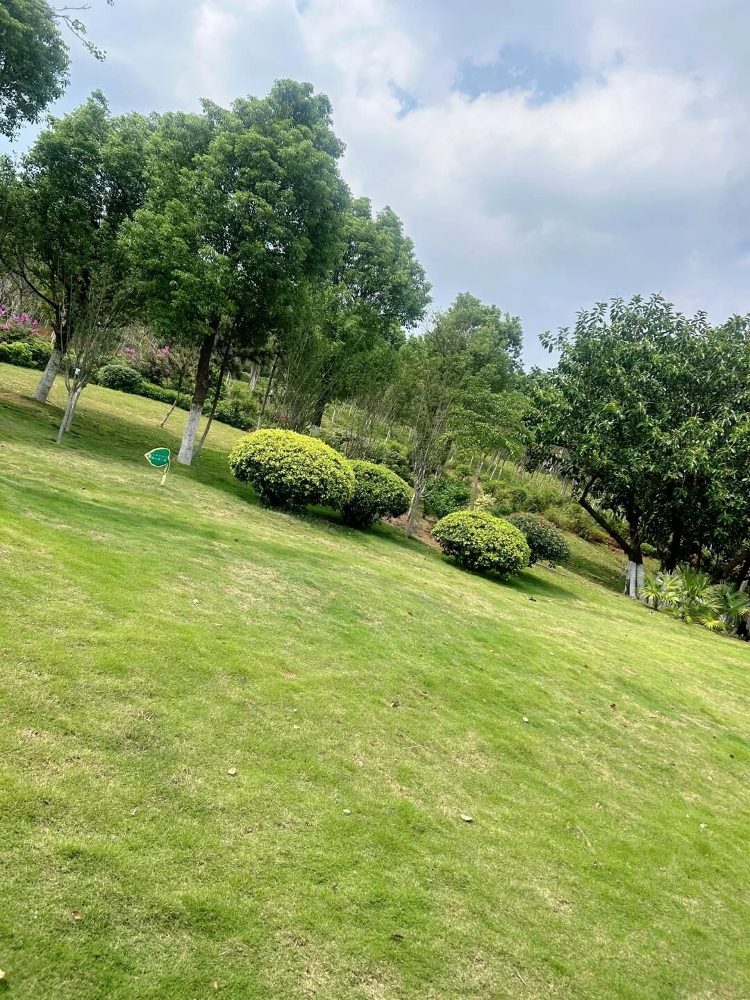 英俊公园旅行图片 3