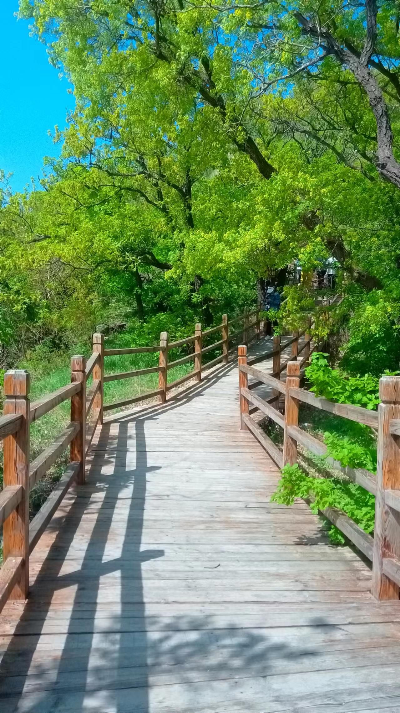 沈阳北巴尔虎山旅行图片 2