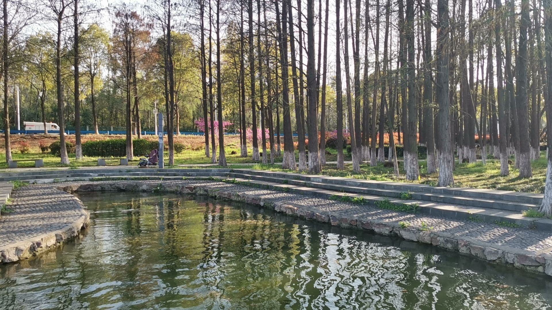 洪山区南湖游园绿道旅行图片 2