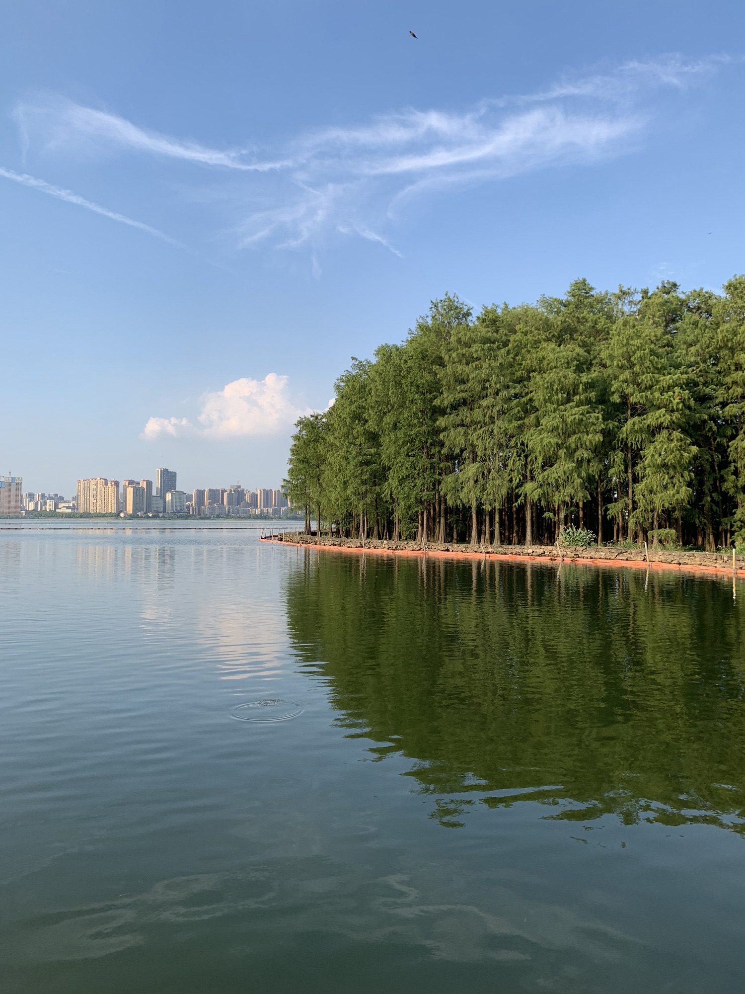 洪山区南湖游园绿道旅行图片 1
