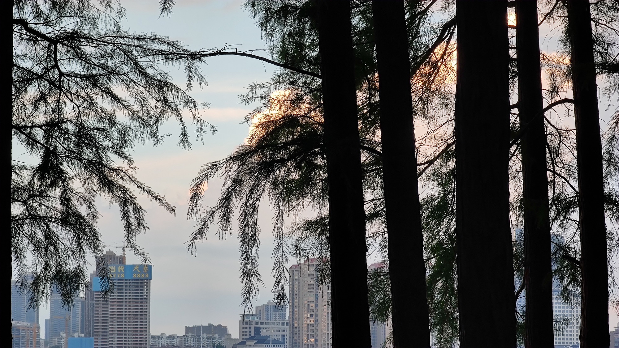 洪山区南湖游园绿道旅行图片 2