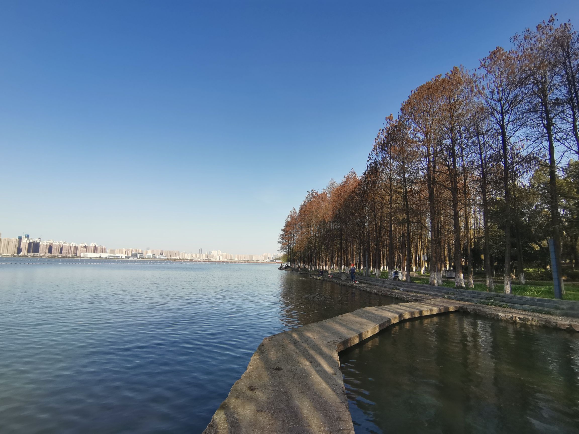 洪山区南湖游园绿道旅行图片 3