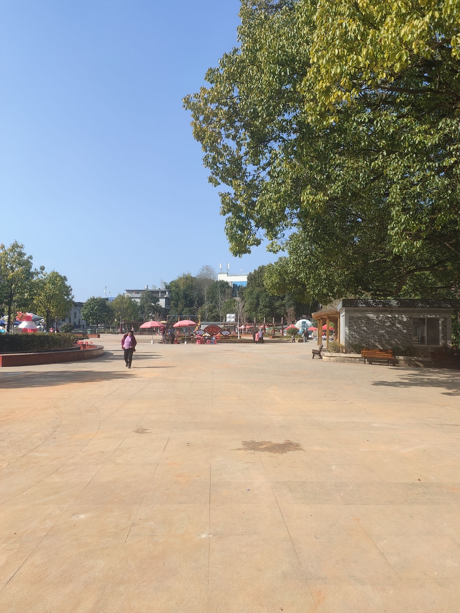 北山公园旅行图片 1